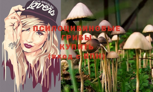 спиды Осинники