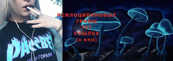 спиды Осинники