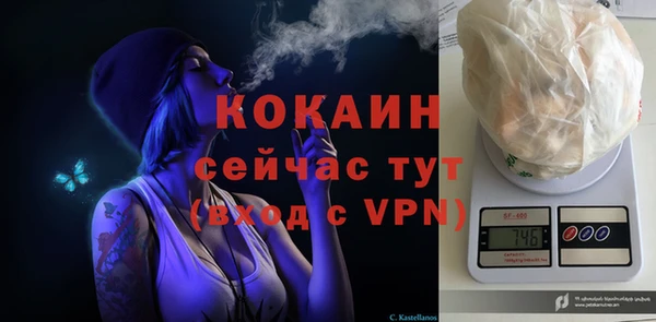 спиды Осинники