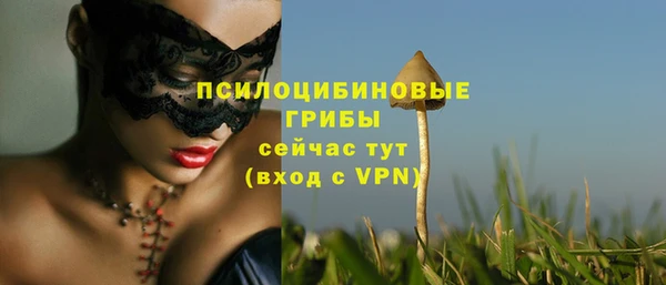 круглые Осташков