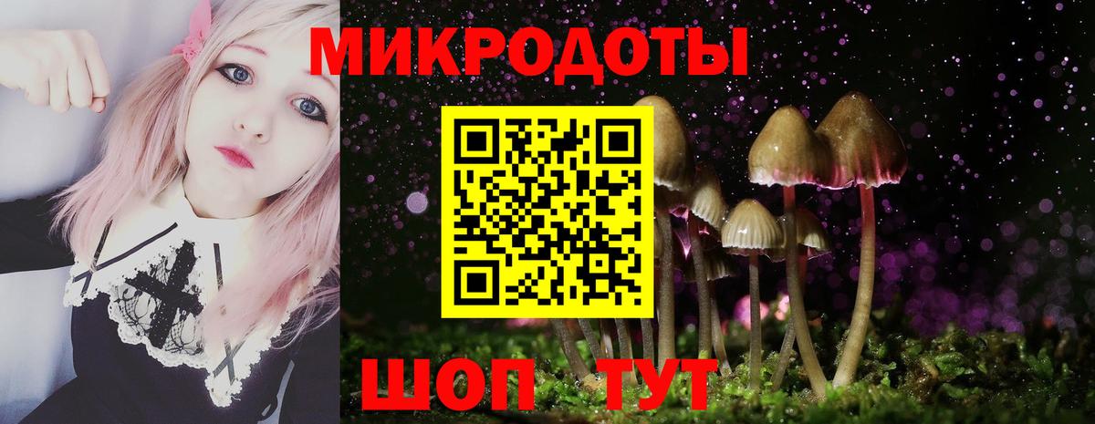 Лесозаводск  Галлюциногенные грибы Psilocybe  Вход с VPN  Псилоцибиновые грибы Cubensis 